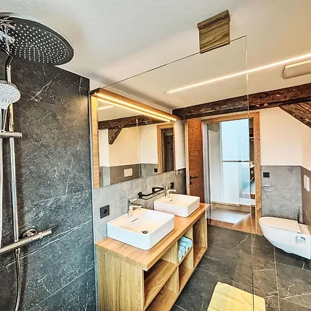 Apartment Salzmannhof Wohnung 1 By Interhome 公寓 拉姆绍达赫斯坦