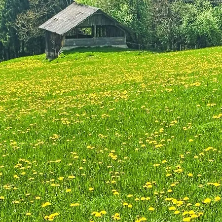 Apartment 1 By Interhome Ramsau am Dachstein