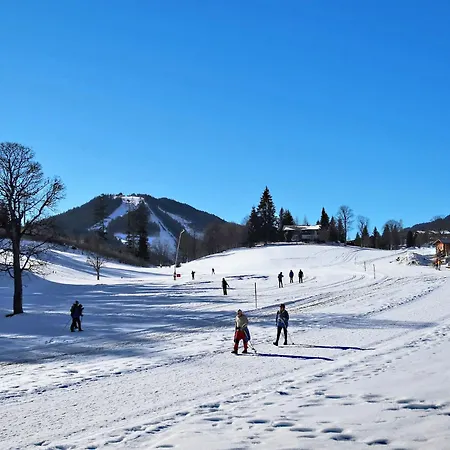 1 By Interhome * Ramsau am Dachstein