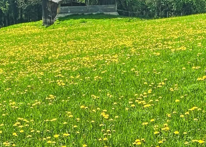 Lägenhet 1 By Interhome Ramsau am Dachstein